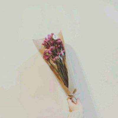 仙魔尘缘九游版下载